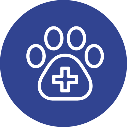 Veterinary autoclave Australia